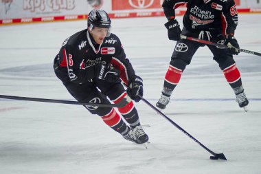 COLOGNE, ALMANY - 22 EYLÜL 2024 Robin van Calster, Lanxess Arena 'da DEL Koelner Haie Adler Mannheim' a karşı