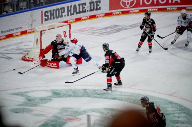 COLOGNE, GERMANY - 22 SEPTEMBER, 2024: The game of DEL Koelner Haie vs. Adler Mannheim at Lanxess Arena clipart