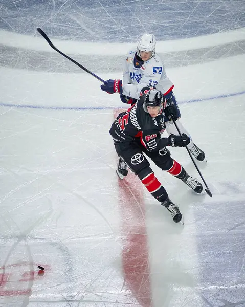 stock image COLOGNE, GERMANY - 22 SEPTEMBER, 2024: Stefan Loibl, Marco Muenzenberger, The game of DEL Koelner Haie vs. Adler Mannheim at Lanxess Arena