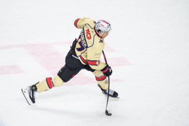 COLOGNE, ALMANY - 27 Eylül 2024: Lanxess Arena 'da DEL Koelner Haie-Nurnberg Ice Tigers maçı