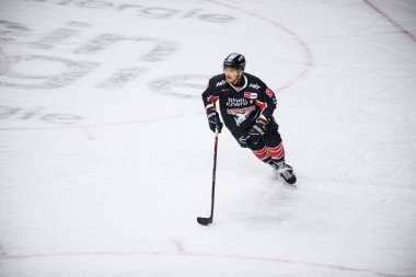 COLOGNE, ALMANY - 27 Eylül 2024: Lanxess Arena 'da DEL Koelner Haie-Nurnberg Ice Tigers maçı