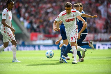 COLOGNE, GERMANY - 29 SEPTEMBER, 2024: Luca Waldschmidt, Rhein Energie Stadion 'da 2.Bundesliga 1.FC Koeln-Karlsruher SC maçı