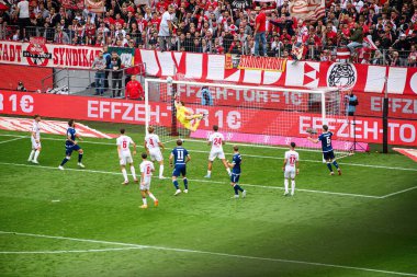 COLOGNE, GERMANY - 29 SEPTEMBER, 2024: Jonas Urbig, Rhein Enerji Stadyumu 'nda 2.Bundesliga 1.FC Koeln-Karlsruher SC maçı