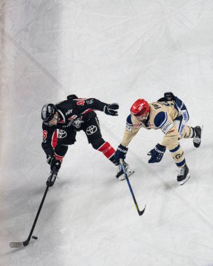 COLOGNE, GERMANY - 11 OCTOBER, 2024: Hockey match DEL Koelner Haie - Schwenninger Wild Wings at Lanxess Arena clipart