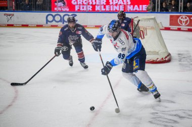 COLOGNE, GERMANY - 13 OCTOBER, 2024: Hockey match DEL KOELNER HAIE - ERC INGOLSTADT at Lanxess Arena clipart