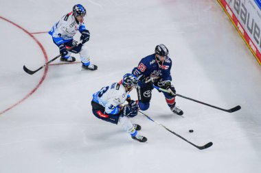 COLOGNE, GERMANY - 13 OCTOBER, 2024: Hockey match DEL KOELNER HAIE - ERC INGOLSTADT at Lanxess Arena clipart