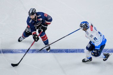 COLOGNE, Almanya - 13 Ekim 2024: Hokey maçı DEL KOELNER HAIE - ERC INGOLSTADT Lanxess Arena