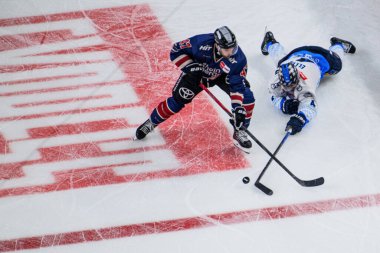 COLOGNE, GERMANY - 13 OCTOBER, 2024: Hockey match DEL KOELNER HAIE - ERC INGOLSTADT at Lanxess Arena clipart