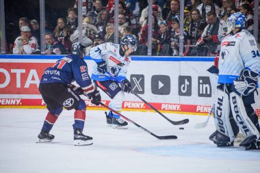 COLOGNE, Almanya - 13 Ekim 2024: Hokey maçı DEL KOELNER HAIE - ERC INGOLSTADT Lanxess Arena