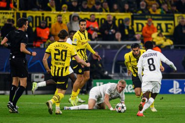 DORTMUND, GERMANY - 05.11.24: SIGNAL IDUNA PARK 'ta UEFA Şampiyonlar Ligi Borussia Dortmund' a karşı Sturm Graz maçı
