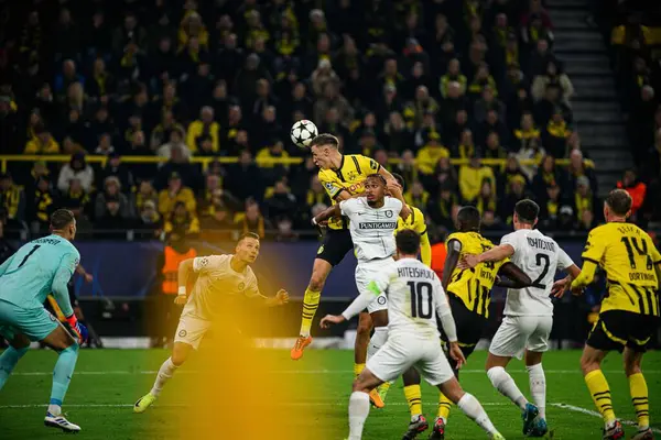 DORTMUND, GERMANY - 05.11.24: SIGNAL IDUNA PARK 'ta UEFA Şampiyonlar Ligi Borussia Dortmund' a karşı Sturm Graz maçı