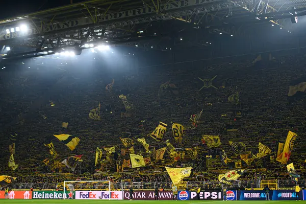 DORTMUND, GERMANY - 05.11.24: SIGNAL IDUNA PARK 'ta UEFA Şampiyonlar Ligi Borussia Dortmund' a karşı Sturm Graz maçı