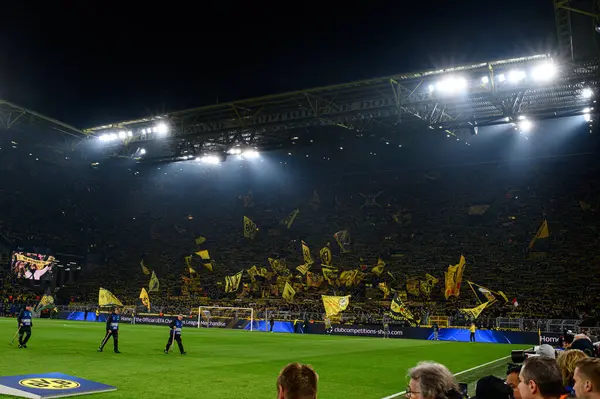 DORTMUND, GERMANY - 05.11.24: SIGNAL IDUNA PARK 'ta UEFA Şampiyonlar Ligi Borussia Dortmund' a karşı Sturm Graz maçı