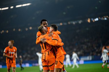 GELSENKIRCHEN, GERMANY - 6 Kasım 2024: Eguinaldo, UEFA Şampiyonlar Ligi futbol karşılaşması FC Shakhtar Donetsk ile Veltins Arena 'da BSC Young Boys arasında