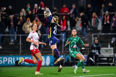 COLOGNE, GERMANY - 18 Kasım 2024: Franz Kremer Stadyumu 'nda Kadınlar Bundesliga 1.FC Koeln' e karşı SV Werder Bremen maçı