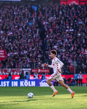 COLOGNE, GERMANY - 30 NOVEMBER, 2024: The football match of 2.Bundesliga 1. FC Koeln vs Hannover 96 at Rhein Energie Stadion clipart