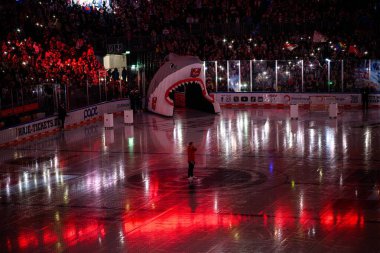 COLOGNE, ALMANY - 1 Aralık 2024: Hokey maçı DEL Koelner Haie - Schwenninger Lanxess Arena 'da Vahşi Kanatlar