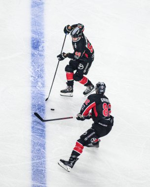 COLOGNE, ALMANY - 1 Aralık 2024: Hokey maçı DEL Koelner Haie - Schwenninger Lanxess Arena 'da Vahşi Kanatlar