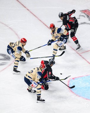 COLOGNE, ALMANY - 1 Aralık 2024: Hokey maçı DEL Koelner Haie - Schwenninger Lanxess Arena 'da Vahşi Kanatlar