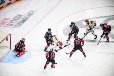 COLOGNE, ALMANY - 1 Aralık 2024: Hokey maçı DEL Koelner Haie - Schwenninger Lanxess Arena 'da Vahşi Kanatlar