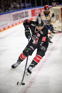 COLOGNE, ALMANY - 1 Aralık 2024: Hokey maçı DEL Koelner Haie - Schwenninger Lanxess Arena 'da Vahşi Kanatlar