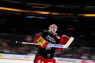 COLOGNE, ALMANY - 1 Aralık 2024: Hokey maçı DEL Koelner Haie - Schwenninger Lanxess Arena 'da Vahşi Kanatlar