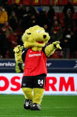 LEVERKUSEN, ALMANY - 7 Aralık 2024: Bundesliga, Bayer Leverkusen-FC St. Pauli maçı Bayarena 'da