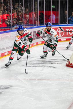 COLOGNE, ALMANY - 8 ARALIK 2024 Riley Damiani, Hokey maçı DEL Koelner Haie - Lanxess Arena 'da Augrsburger Panter