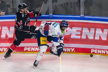 COLOGNE, GERMANY - 7 JANUARY, 2025 Ice hockey match of DEL Koelner Haie - Eisbaeren Berlin at LANXESS ARENA. For editorial use only. Resale or distribution is prohibited. clipart