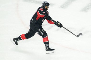COLOGNE, ALMANY - 7 HAZİRAN, 2025 buz hokeyi maçı DeL Koelner Haie - Eisbaeren Berlin LANXESS ARENA 'da. Sadece yazı işleri için. Satmak veya dağıtmak yasaktır.