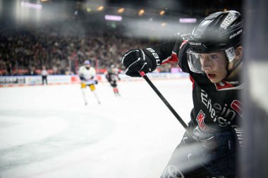 COLOGNE, ALMANY - 7 HAZİRAN, 2025 buz hokeyi maçı DeL Koelner Haie - Eisbaeren Berlin LANXESS ARENA 'da. Sadece yazı işleri için. Satmak veya dağıtmak yasaktır.