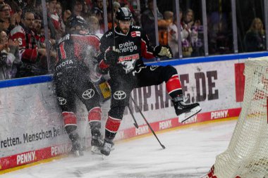COLOGNE, ALMANY - 7 HAZİRAN, 2025 buz hokeyi maçı DeL Koelner Haie - Eisbaeren Berlin LANXESS ARENA 'da. Sadece yazı işleri için. Satmak veya dağıtmak yasaktır.
