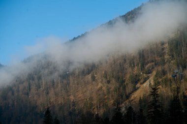 Day Light. Beautiful winter landscape on the mountains in Ruhpolding in Bavaria, Germany clipart