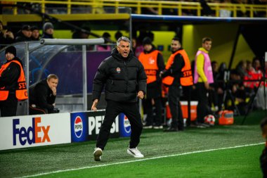 DORTMUND, GERMANY - 29 HAZİRAN, 2025: Teknik Direktör, Marino Pusiç - UEFA Şampiyonlar Ligi Borussia Dortmund-Shakhtar Donetsk maçı Signal Iduna Park 'ta. Sadece yazı işleri için. Satmak veya dağıtmak yasaktır.