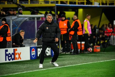 DORTMUND, GERMANY - 29 HAZİRAN, 2025: Teknik Direktör, Marino Pusiç - UEFA Şampiyonlar Ligi Borussia Dortmund-Shakhtar Donetsk maçı Signal Iduna Park 'ta. Sadece yazı işleri için. Satmak veya dağıtmak yasaktır.