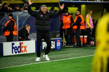 DORTMUND, GERMANY - 29 HAZİRAN, 2025: Teknik Direktör, Marino Pusiç - UEFA Şampiyonlar Ligi Borussia Dortmund-Shakhtar Donetsk maçı Signal Iduna Park 'ta. Sadece yazı işleri için. Satmak veya dağıtmak yasaktır.