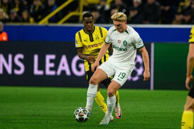 DORTMUND, GERMANY - 19 Şubat 2025: Conrad Harder - UEFA Şampiyonlar Ligi Borussia Dortmund - Iduna Parkı 'nda Lisboa Sinyali. 