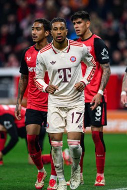 LEVERKUSEN, GERMANY - 11 Mart 2025: Michael Olise - Bayena 'da Bayer 04 Leverkusen FC Bayern Münih' e karşı UEFA Şampiyonlar Ligi futbol maçı.