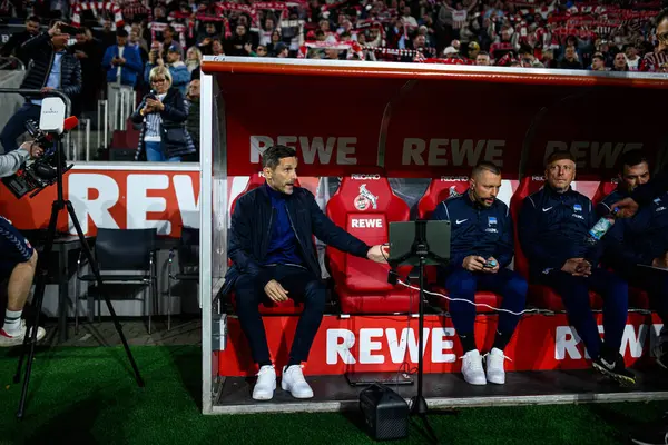 COLOGNE, GERMANY - 5 Nisan 2025: Stefan Leitl - Rhein Energie Stadion 'da 2.Bundesliga 1.FC Koeln' e karşı Hertha BSC maçı