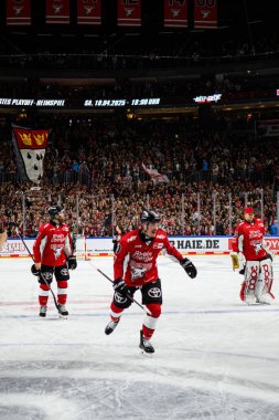 COLOGNE, Almanya - 14 Nisan 2025: Justin Schutz - Hokey play-off maçı DEL KOELNER HAIE - ERC INGOLSTADT at Lanxess Arena. Sadece yazı işleri için. Satmak veya dağıtmak yasaktır.