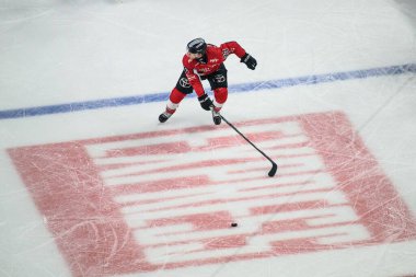 COLOGNE, Almanya - 14 Nisan 2025: Tim Wohlgemuth - Hokey play-off maçı DeL KOELNER HAIE - ERC INGOLSTADT at Lanxess Arena. Sadece yazı işleri için. Satmak veya dağıtmak yasaktır.