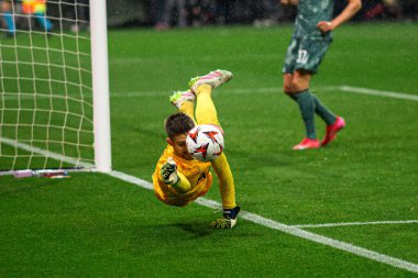FRANKFURT, GERMANY - 17 Nisan 2025: Guglielmo Vicario - Eintracht Frankfurt ile Tottenham Hotspur F.C. arasındaki UEFA Avrupa Ligi maçı Deutsche Bank Park 'ta..
