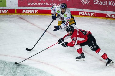 COLOGNE, Almanya - 19 Nisan 2025: Veli-Matti Vittasmaki - Hokey play-off maçı DEL KOELNER HAIE - Lanxess Arena 'da EISBAEREN BERLIN. Sadece yazı işleri için. Satmak veya dağıtmak yasaktır.