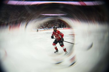 COLOGNE, Almanya - 19 Nisan 2025: Maximilian Glotzl - Hokey play-off maçı DeL KOELNER HAIE - Lanxess Arena 'da EISBAEREN BERLIN. Sadece yazı işleri için. Satmak veya dağıtmak yasaktır.
