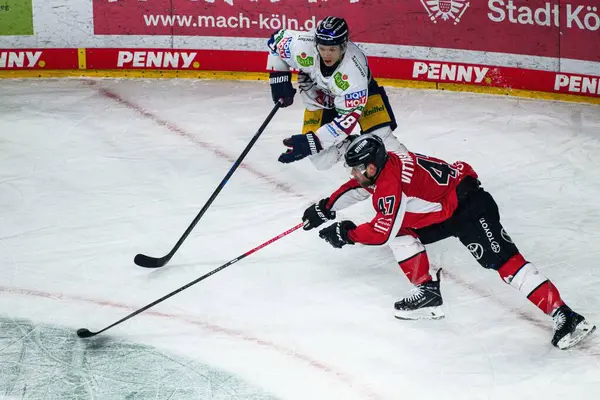 COLOGNE, Almanya - 19 Nisan 2025: Veli-Matti Vittasmaki - Hokey play-off maçı DEL KOELNER HAIE - Lanxess Arena 'da EISBAEREN BERLIN. Sadece yazı işleri için. Satmak veya dağıtmak yasaktır.