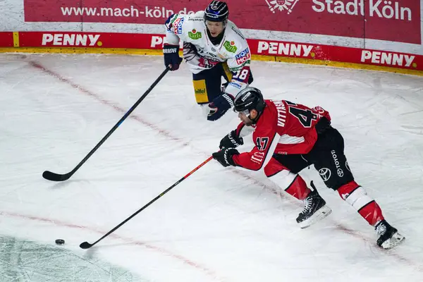 COLOGNE, Almanya - 19 Nisan 2025: Veli-Matti Vittasmaki - Hokey play-off maçı DEL KOELNER HAIE - Lanxess Arena 'da EISBAEREN BERLIN. Sadece yazı işleri için. Satmak veya dağıtmak yasaktır.