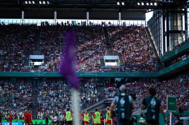 COLOGNE, GERMANY - 1 Mayıs 2025: Taraftarlar - DFB-Pokal Frauen (Almanya Kadınlar Kupası) FC Bayern Münih - SV Werder Bremen maçı Rhein Enerji Stadyumu 'nda.