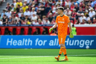 LEVERKUSEN, GERMANY - 11 Mayıs 2025: Lukas Hradecky - Bayer 04 Leverkusen-FC Augsburg maçında.