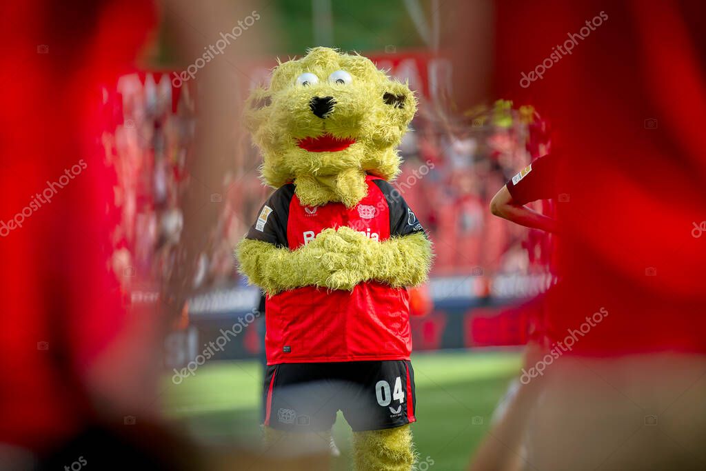 LEVERKUSEN, GERMANY - 11 MAY, 2025: Lion Brian - The Bundesliga match Bayer 04 Leverkusen vs FC Augsburg at BayArena.