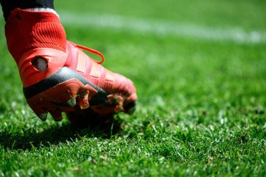 COLOGNE, Almanya - 20 Nisan 2025: adidas Predator 19.1 FG - Rhein Energie Stadion.